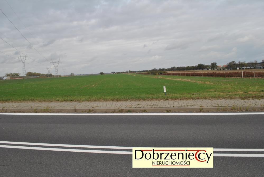 Wynajmę działkę 8500&nbsp;m², Swadzim, Poznańska - zdjęcie 1