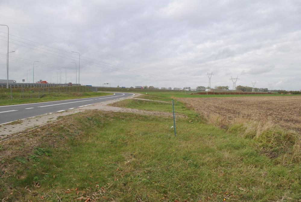 Wynajmę działkę 8500&nbsp;m², Swadzim, Poznańska - zdjęcie 4