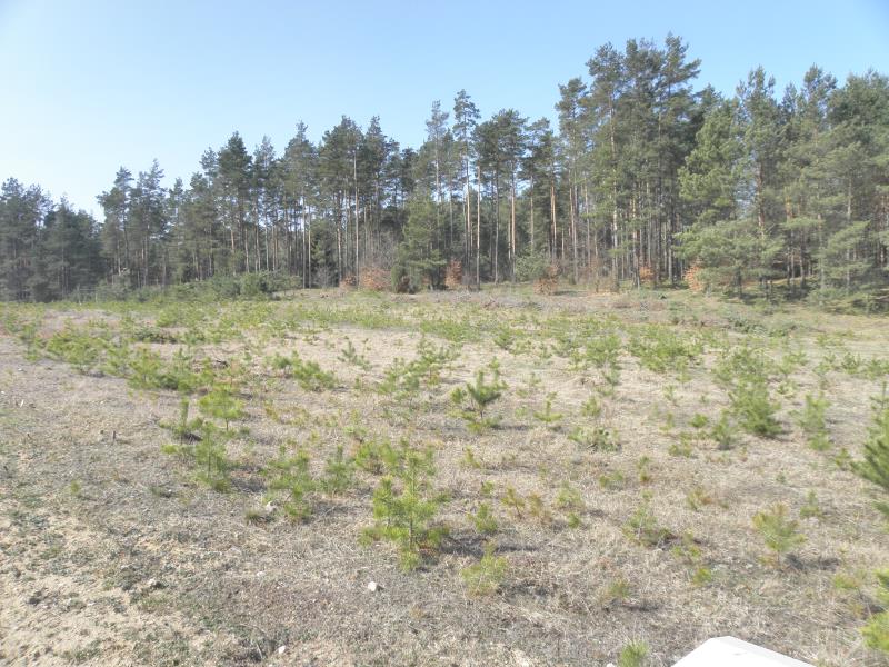 Działka rekreacyjna 684&nbsp;m², Sitno, Karlikowska - zdjęcie 1