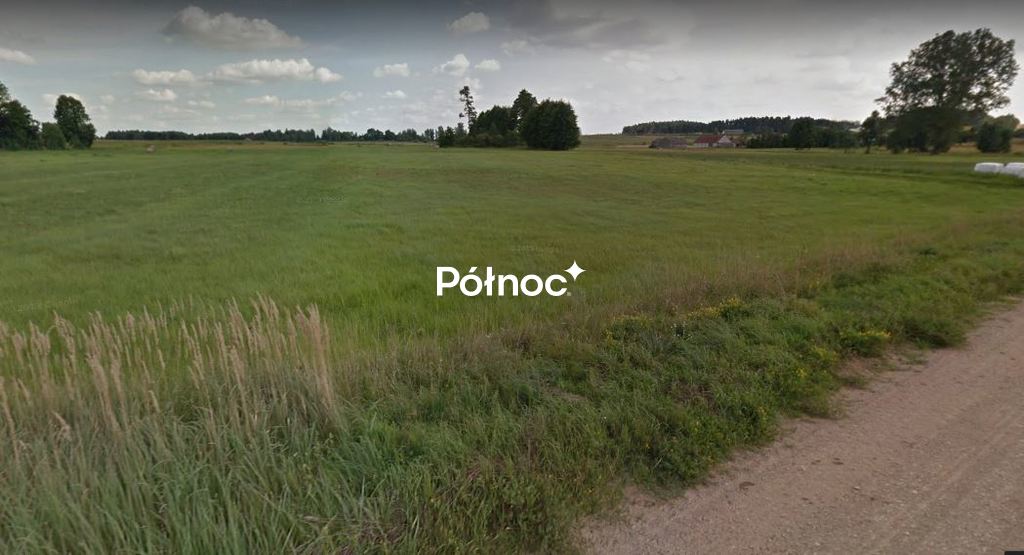 Działka rolna 3000 m², Rogowo - zdjęcie 5