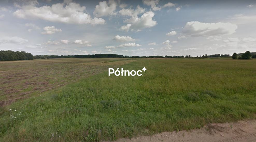 Działka rolna 3000 m², Rogowo - zdjęcie 3