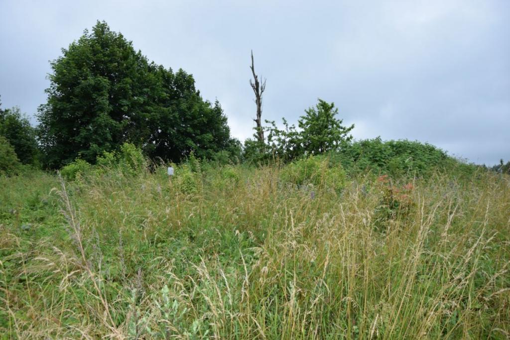 Działka Miłowo ul. Brzozowa urokliwa okolica. - zdjęcie 7