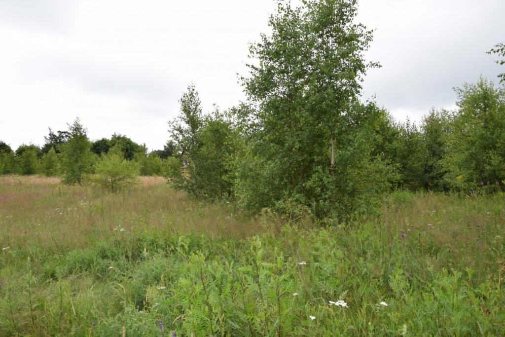 Działka Miłowo ul. Brzozowa urokliwa okolica. - zdjęcie 3