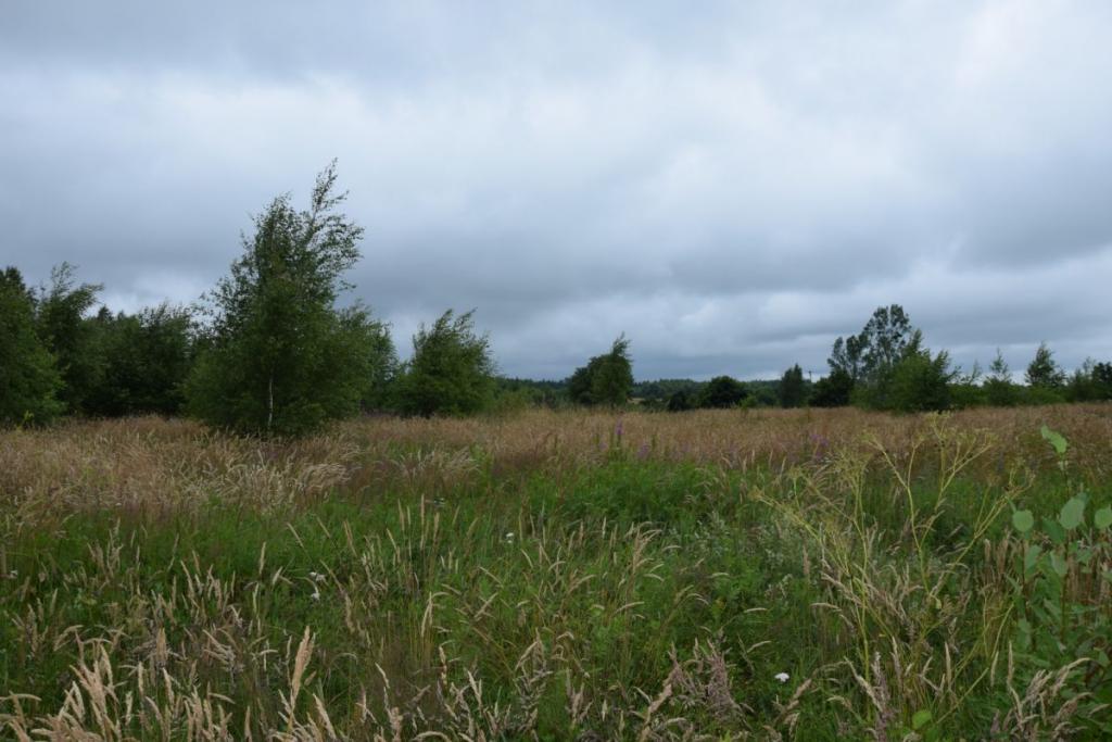 Działka Miłowo ul. Brzozowa urokliwa okolica. - zdjęcie 9