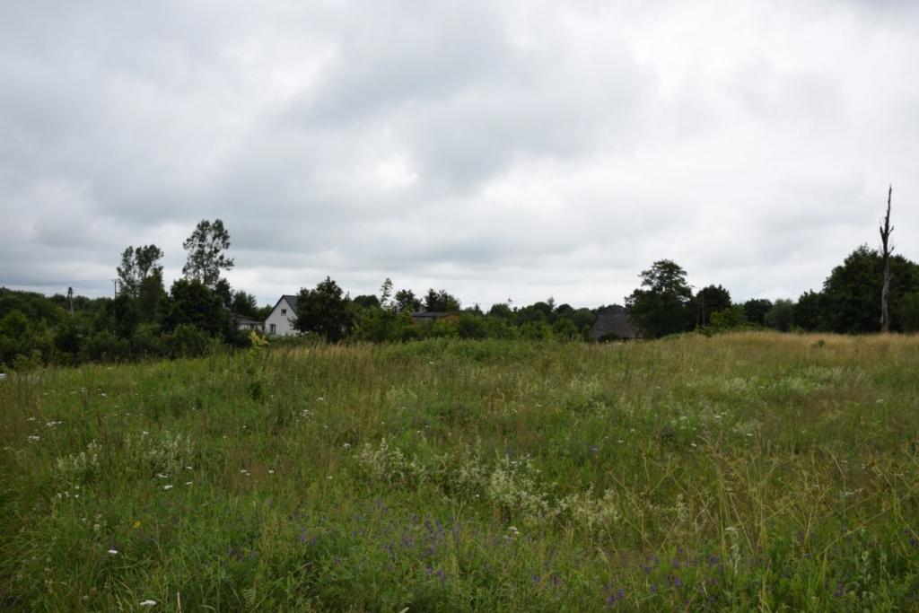 Działka Miłowo ul. Brzozowa urokliwa okolica. - zdjęcie 8