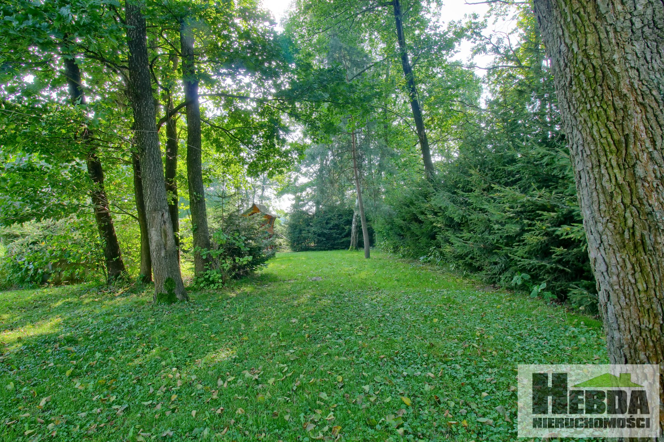 Na sprzedaż nieruchomość pod gastronomię, restauracje itp - zdjęcie 8