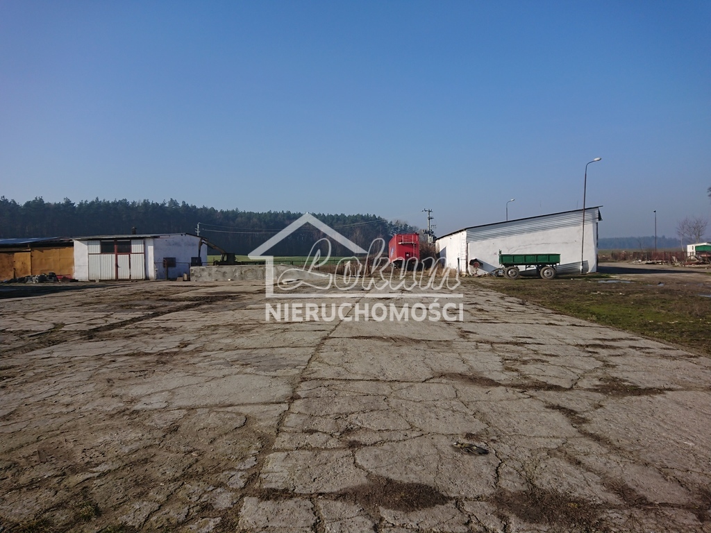 Magazyn na sprzedaż, 1500 m², Raduń - zdjęcie 3