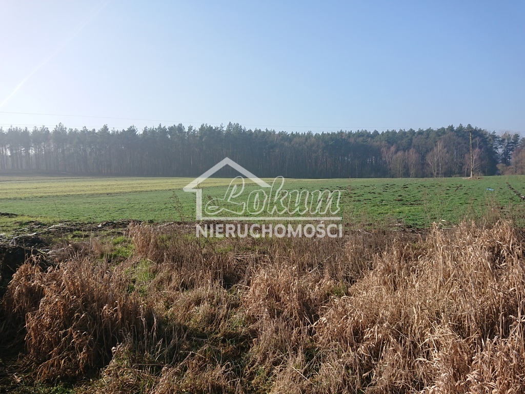 Magazyn na sprzedaż, 1500&nbsp;m², Raduń - zdjęcie 9