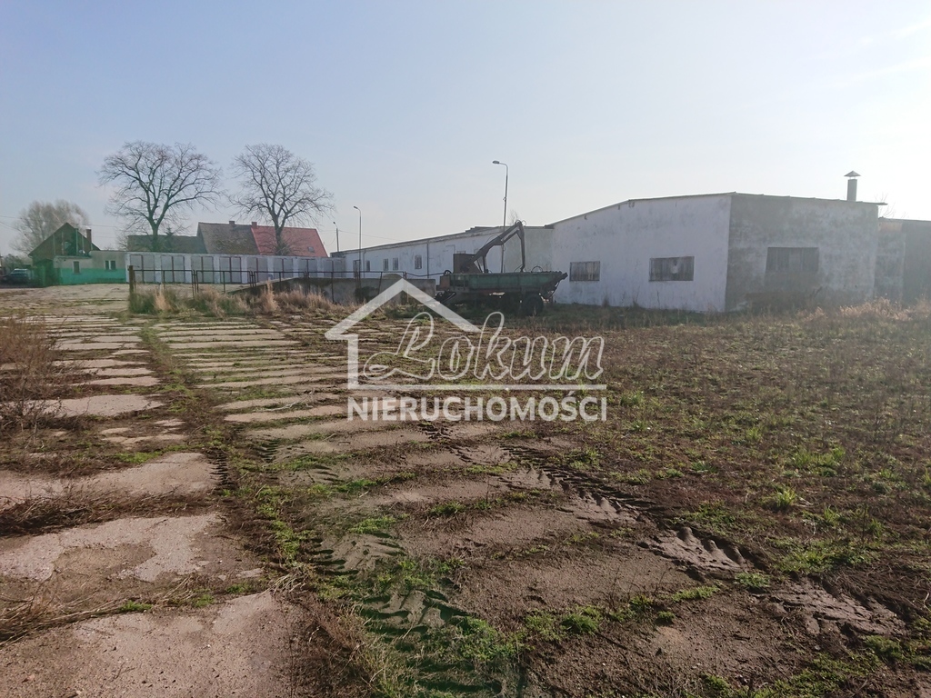 Magazyn na sprzedaż, 1500 m², Raduń - zdjęcie 7