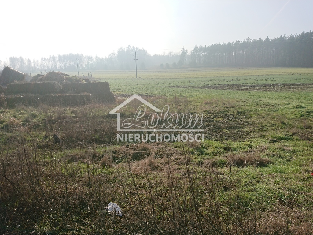 Magazyn na sprzedaż, 1500 m², Raduń - zdjęcie 8