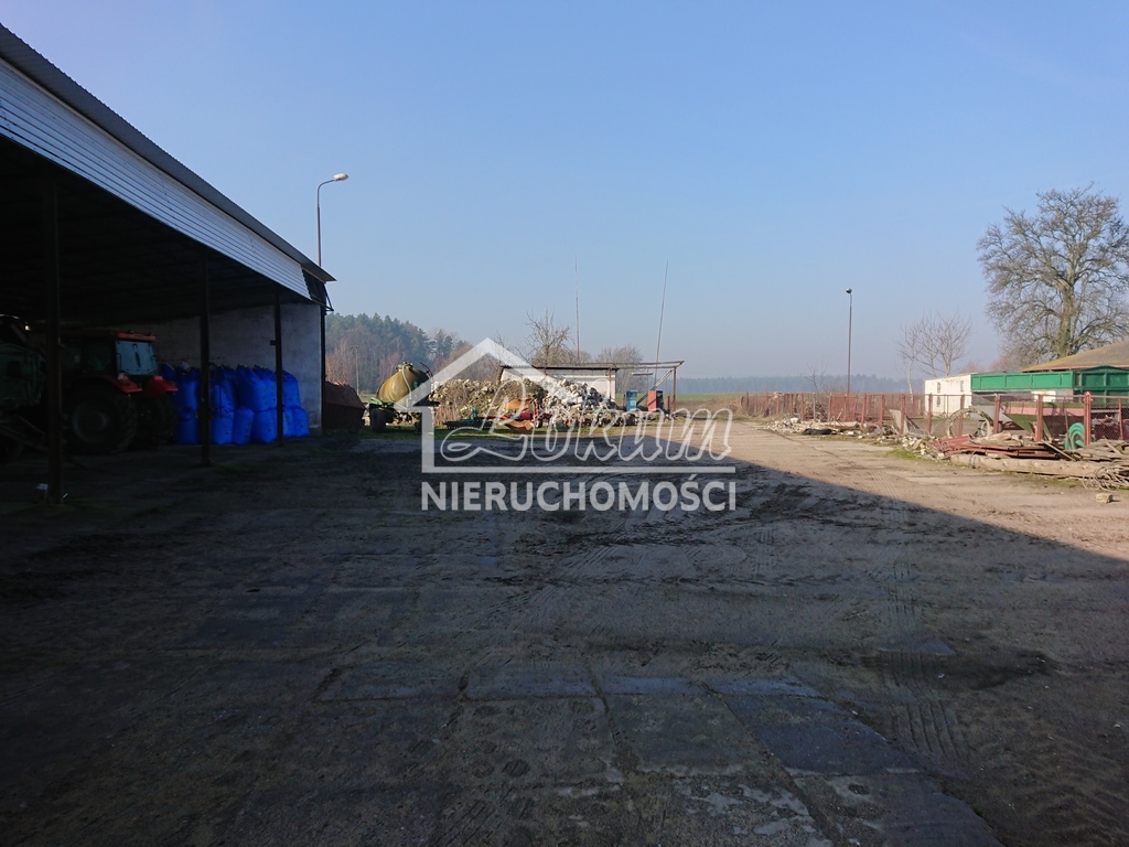 Magazyn na sprzedaż, 1500 m², Raduń - zdjęcie 6