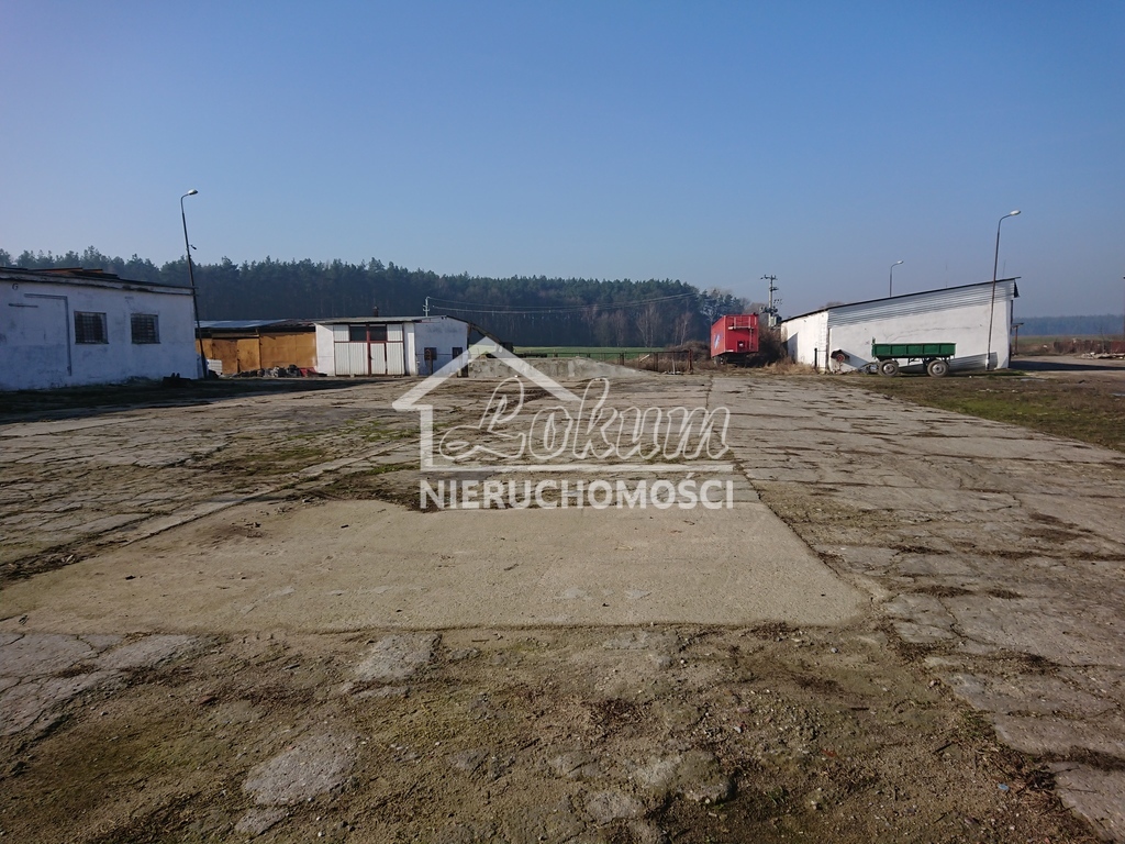 Magazyn na sprzedaż, 1500 m², Raduń - zdjęcie 2