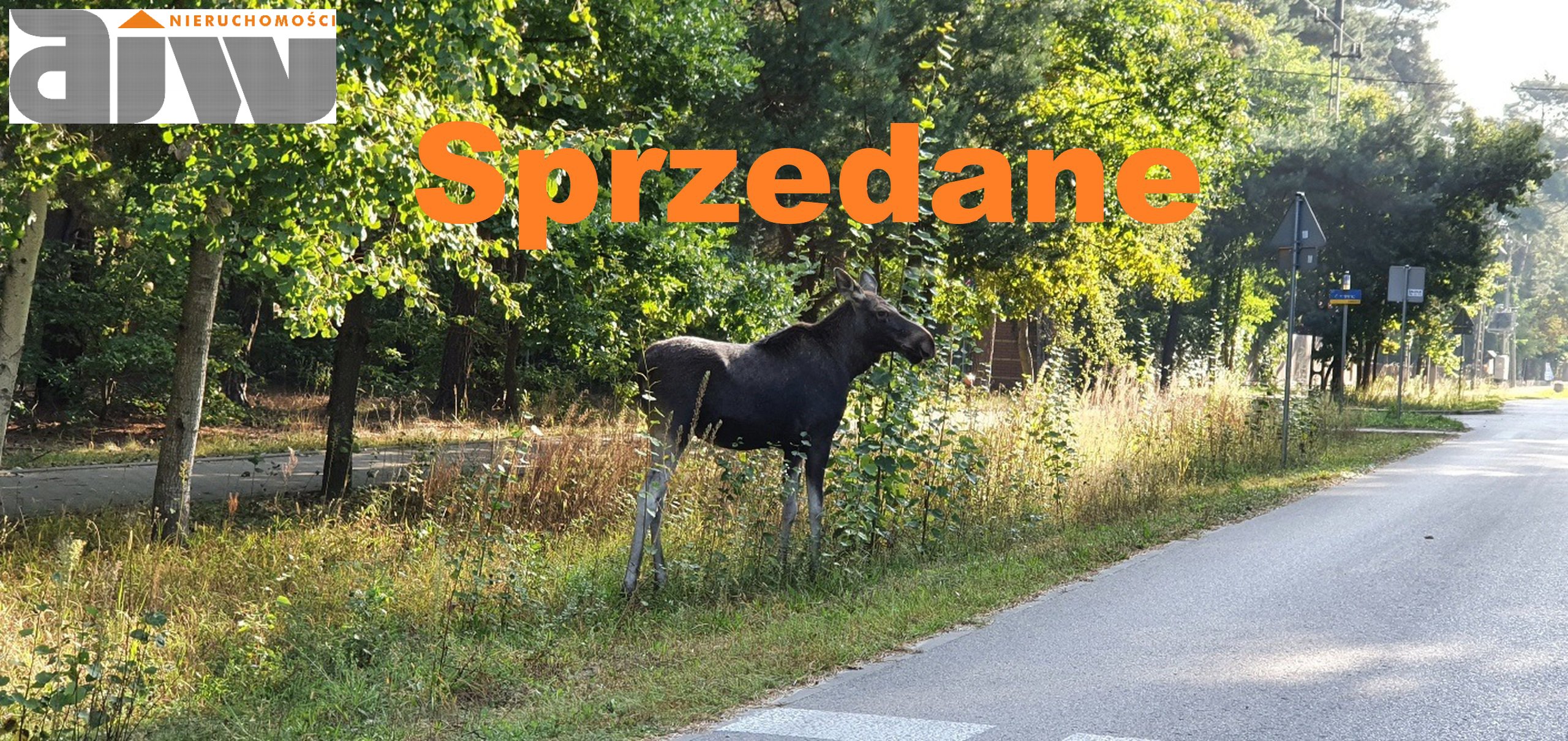 Działka Izabelin C o powierzchni 2275 m2 - zdjęcie 1