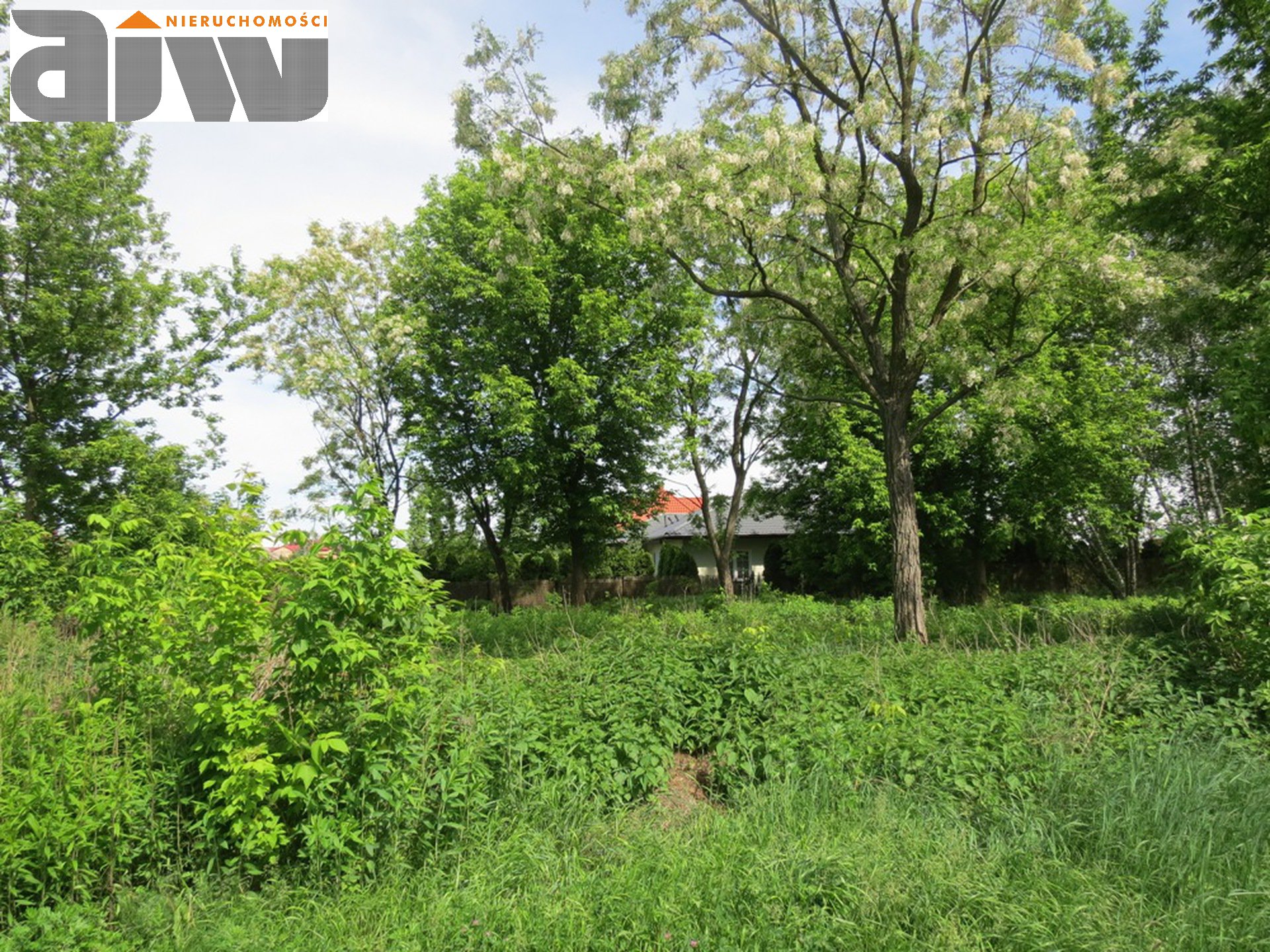 Działka Borzęcin Duży 2370 m2 - zdjęcie 2