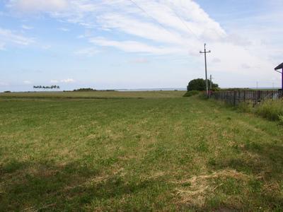 Działka rolna 5800&nbsp;m², Swarzewo, Władysławowska - zdjęcie 3