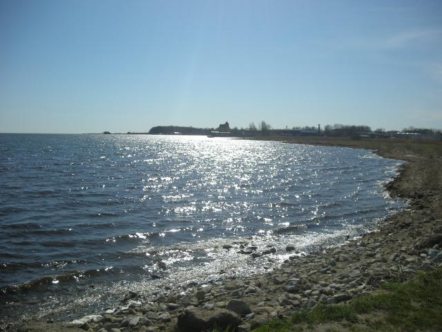 Działka rolna 5800&nbsp;m², Swarzewo, Władysławowska - zdjęcie 5
