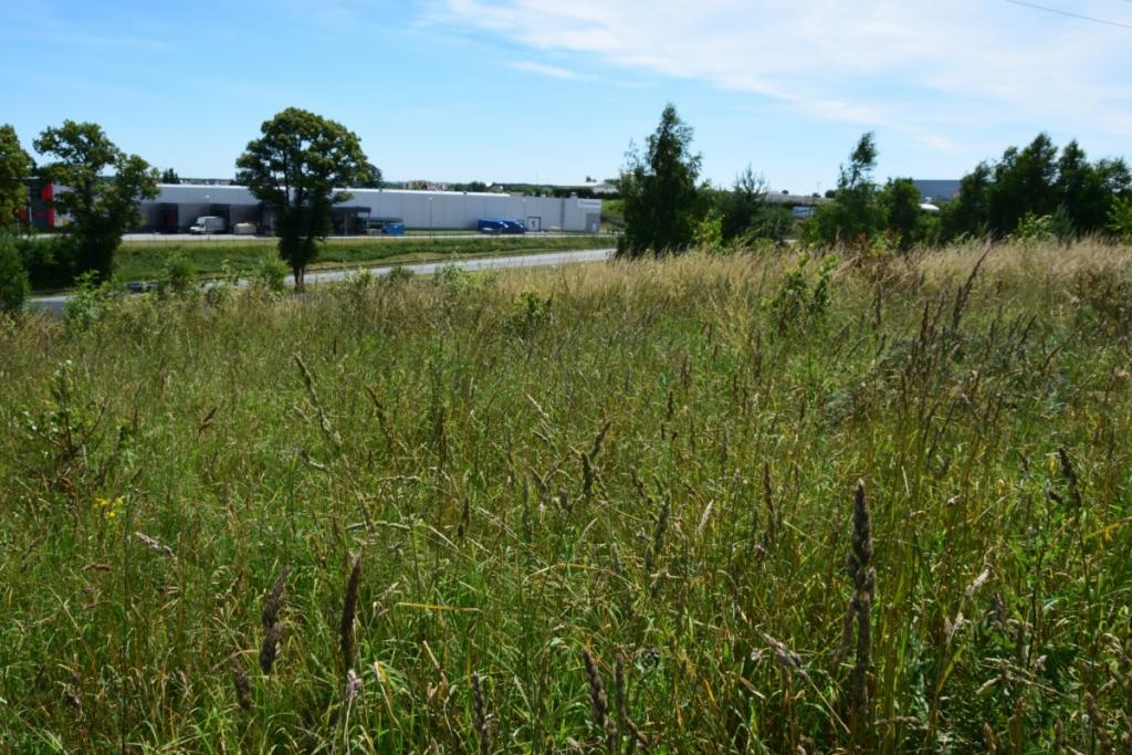 Działka w Gościcinie przy ul. Lewandowej - zdjęcie 8