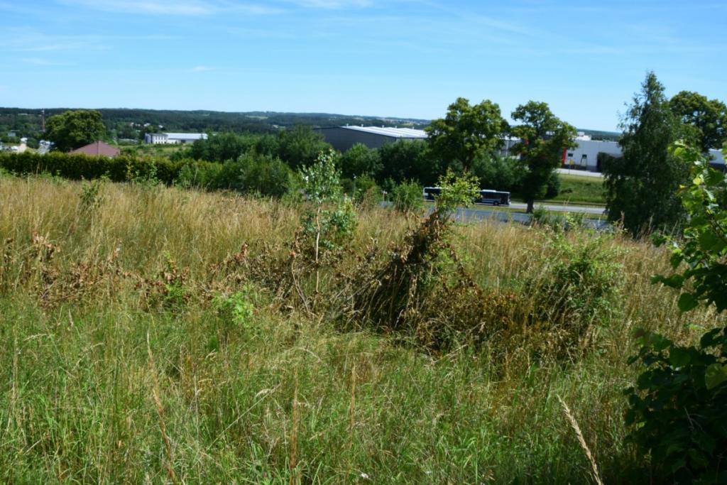 Działka w Gościcinie przy ul. Lewandowej - zdjęcie 9