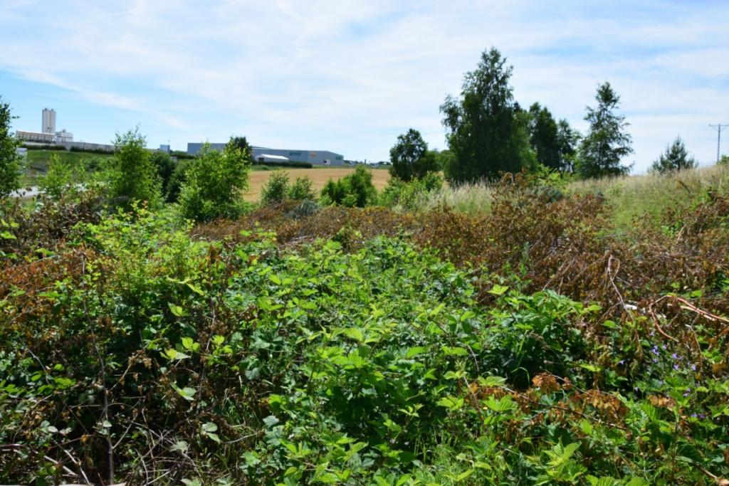 Działka w Gościcinie przy ul. Lewandowej - zdjęcie 5