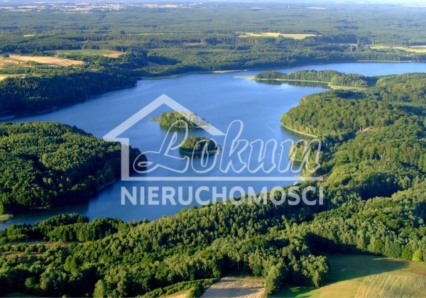 Działka rolna 3500 m², Komorze - zdjęcie 1