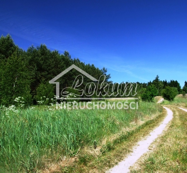 Działka rolna 3500 m², Komorze - zdjęcie 3