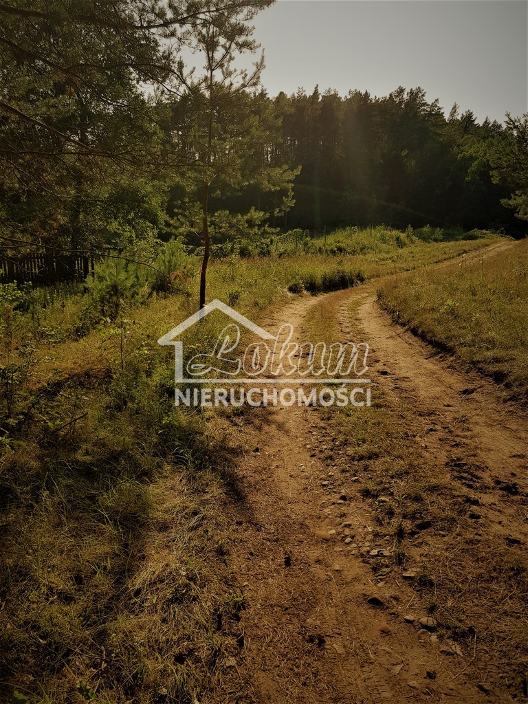 Działka rolna 3500 m², Komorze - zdjęcie 5