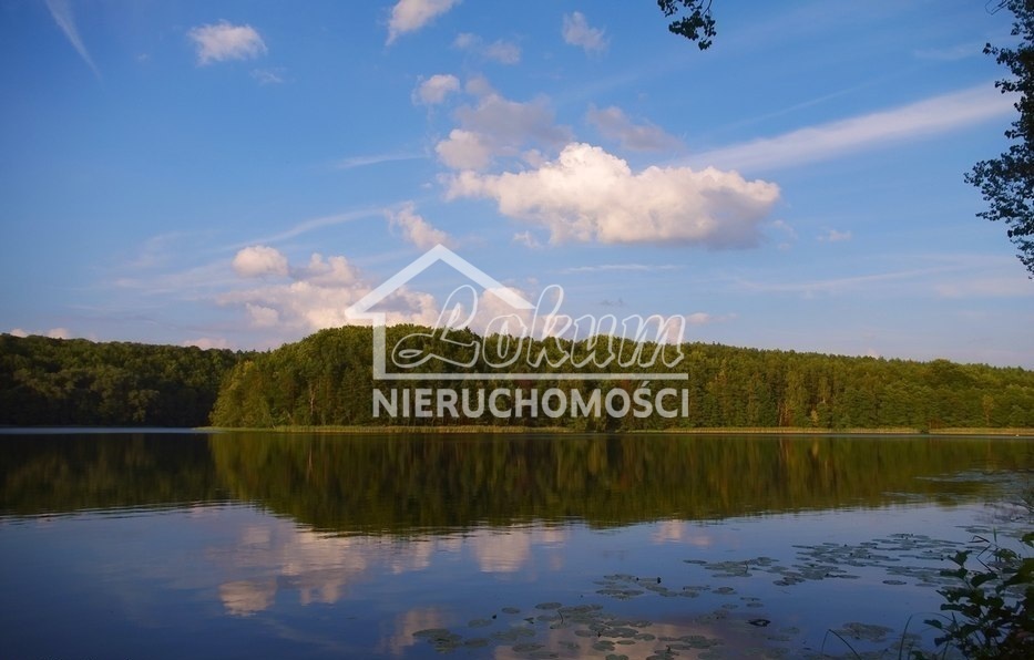 Działka rolna 3500 m², Komorze - zdjęcie 2
