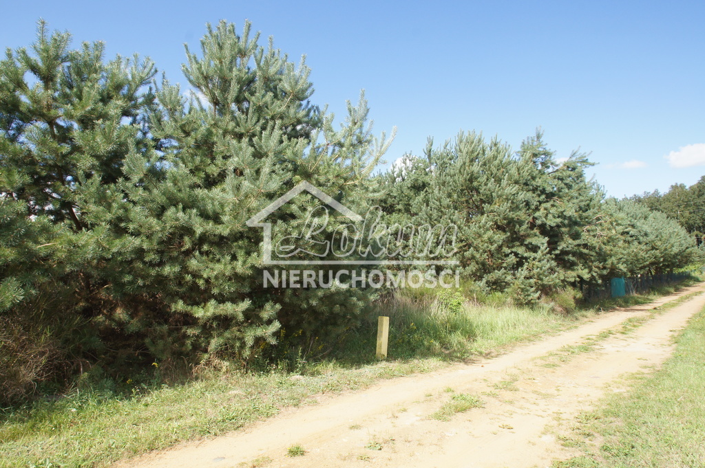 Działka budowlana 1147&nbsp;m², Charzyno - zdjęcie 6