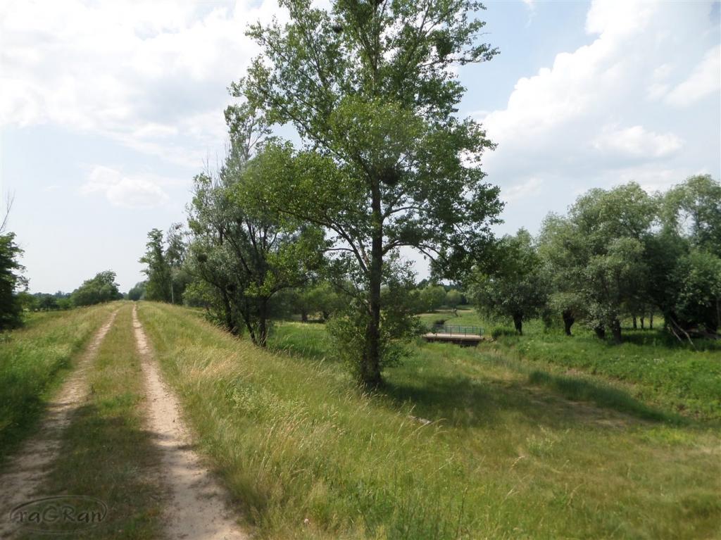 Piękna dziłka budowlana w spokojnej okolicy - zdjęcie 9