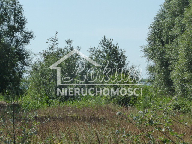 Dom 640&nbsp;m², Zagórze - zdjęcie 10