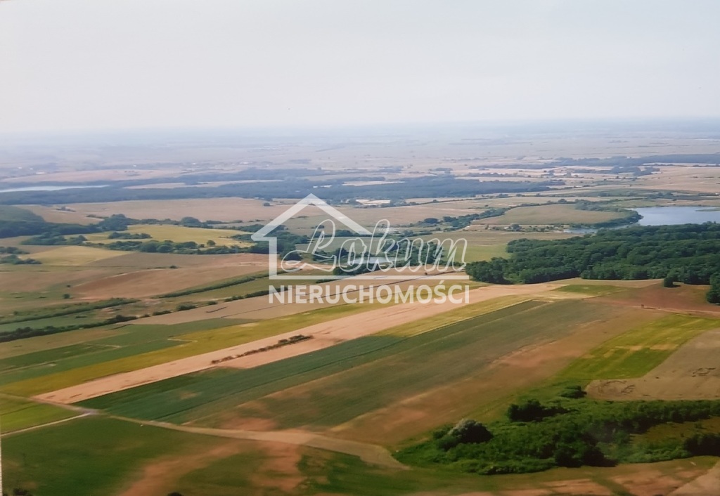 Działka rolna 1,20&nbsp;ha, Kołowo - zdjęcie 1