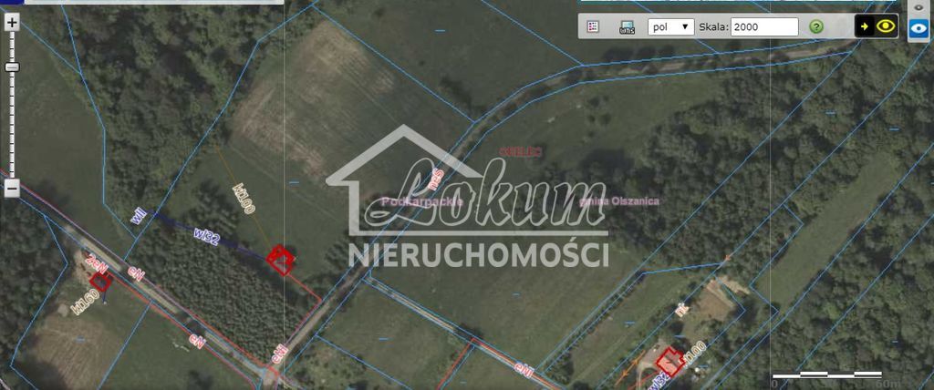 Działka budowlana 7000&nbsp;m², Orelec - zdjęcie 5