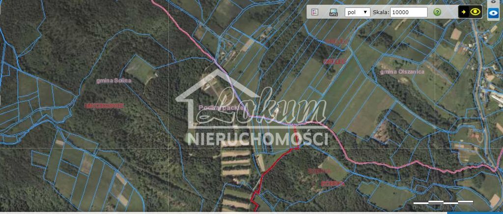 Działka budowlana 7000&nbsp;m², Orelec - zdjęcie 6