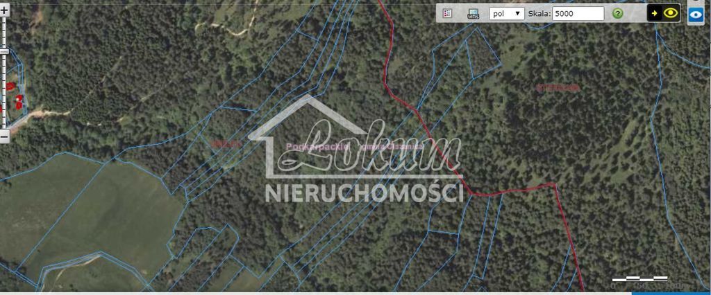 Działka budowlana 7000&nbsp;m², Orelec - zdjęcie 2