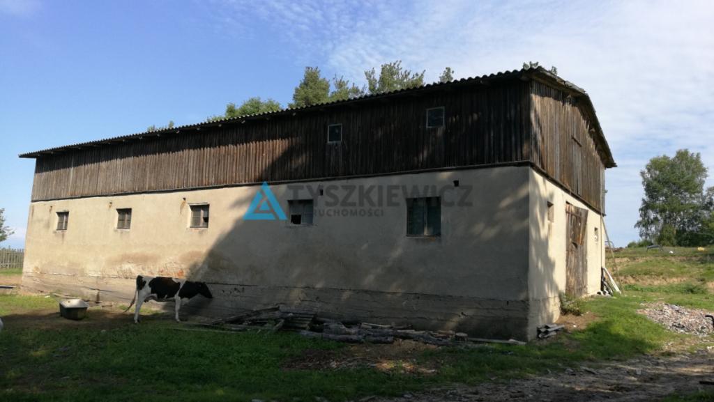 Działka siedliskowa z budynkiem gospodarczym - zdjęcie 4