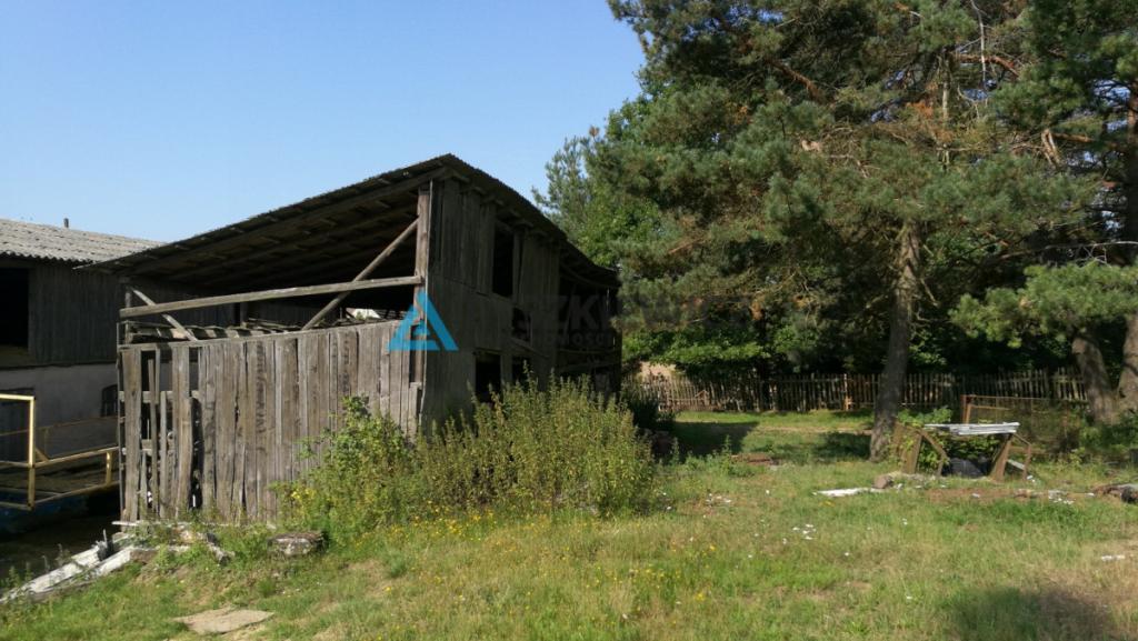 Działka siedliskowa z budynkiem gospodarczym - zdjęcie 3