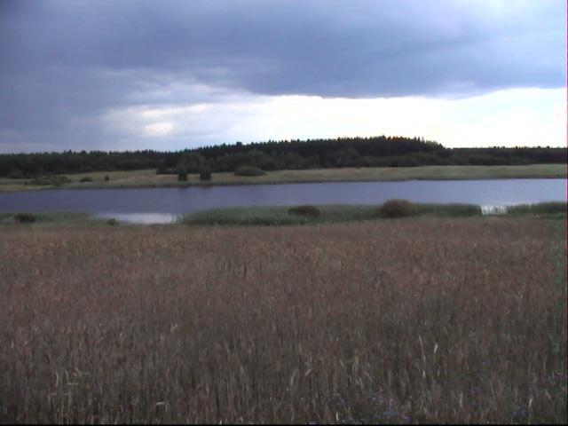 Działka rekreacyjna 2,50&nbsp;ha, Przechlewo, NAD JEZIOREM LINY - zdjęcie 1