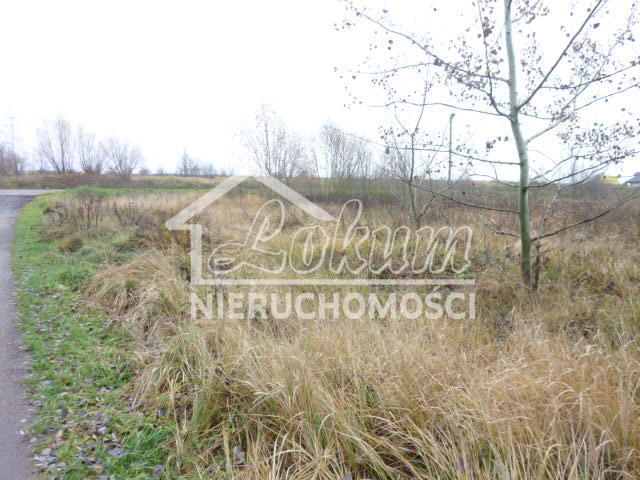 Działka budowlana 1148&nbsp;m², Dobra - zdjęcie 4