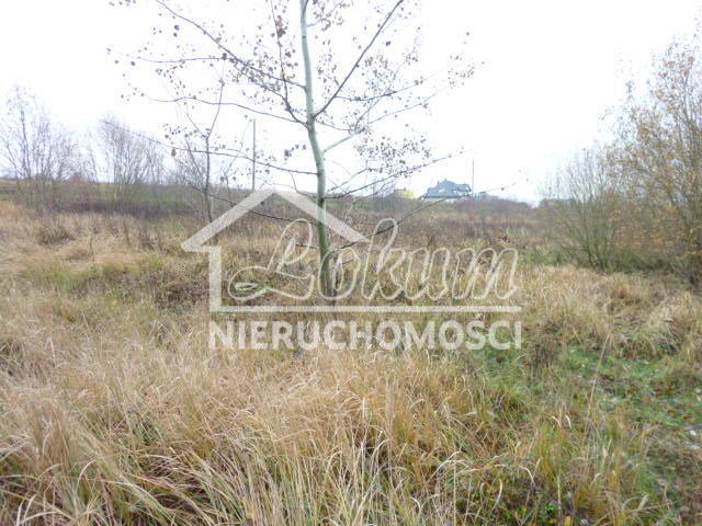 Działka budowlana 1148&nbsp;m², Dobra - zdjęcie 3