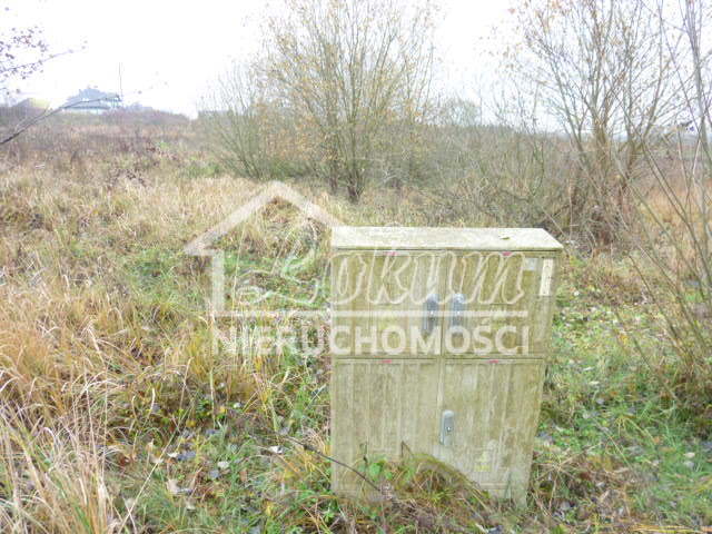 Działka budowlana 1148&nbsp;m², Dobra - zdjęcie 5