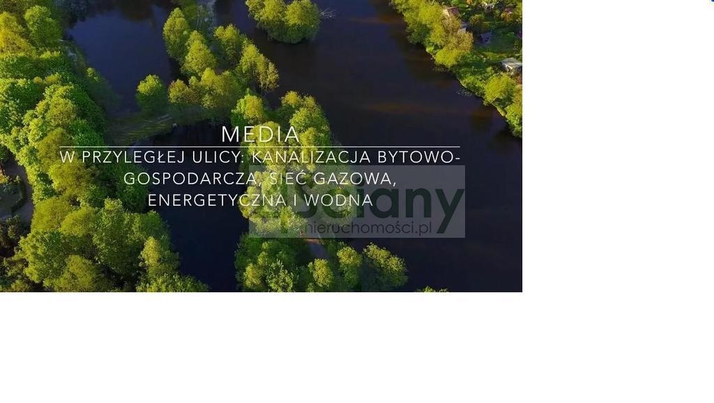 Działka inwestycyjna 5,32&nbsp;ha, Adamowizna - zdjęcie 6