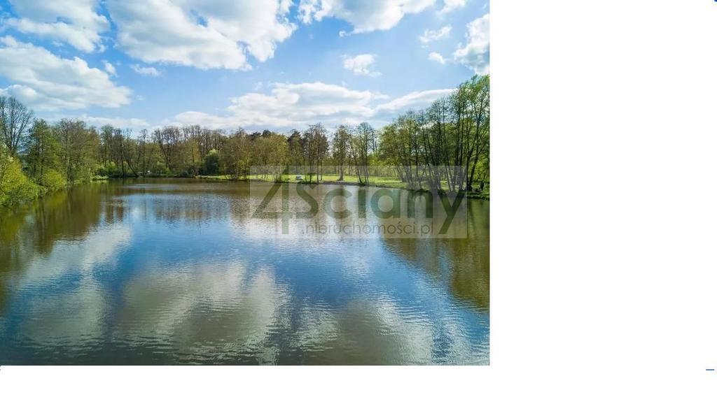 Działka inwestycyjna 5,32&nbsp;ha, Adamowizna - zdjęcie 2