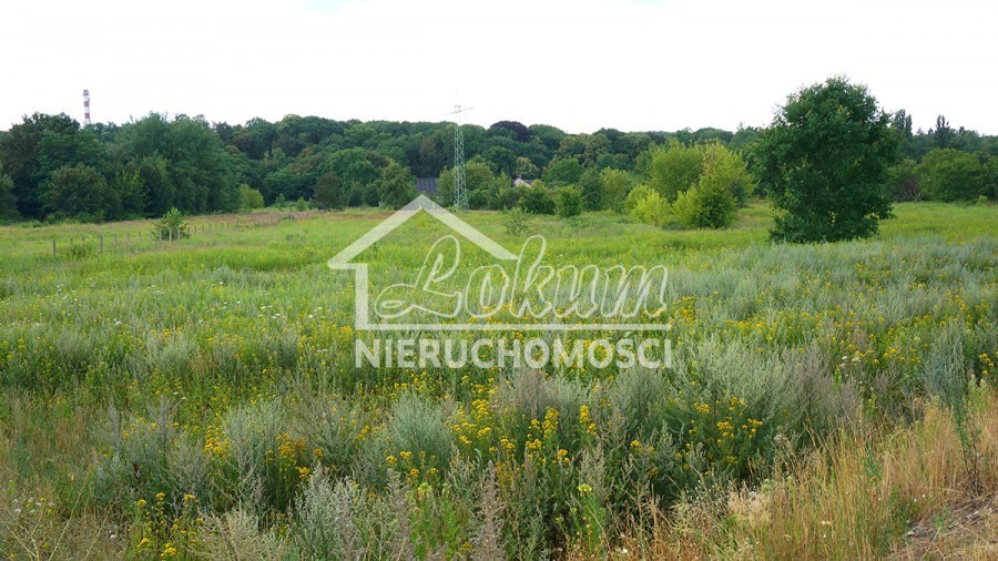 Działka rolna 1,37&nbsp;ha, Szczecin - zdjęcie 5