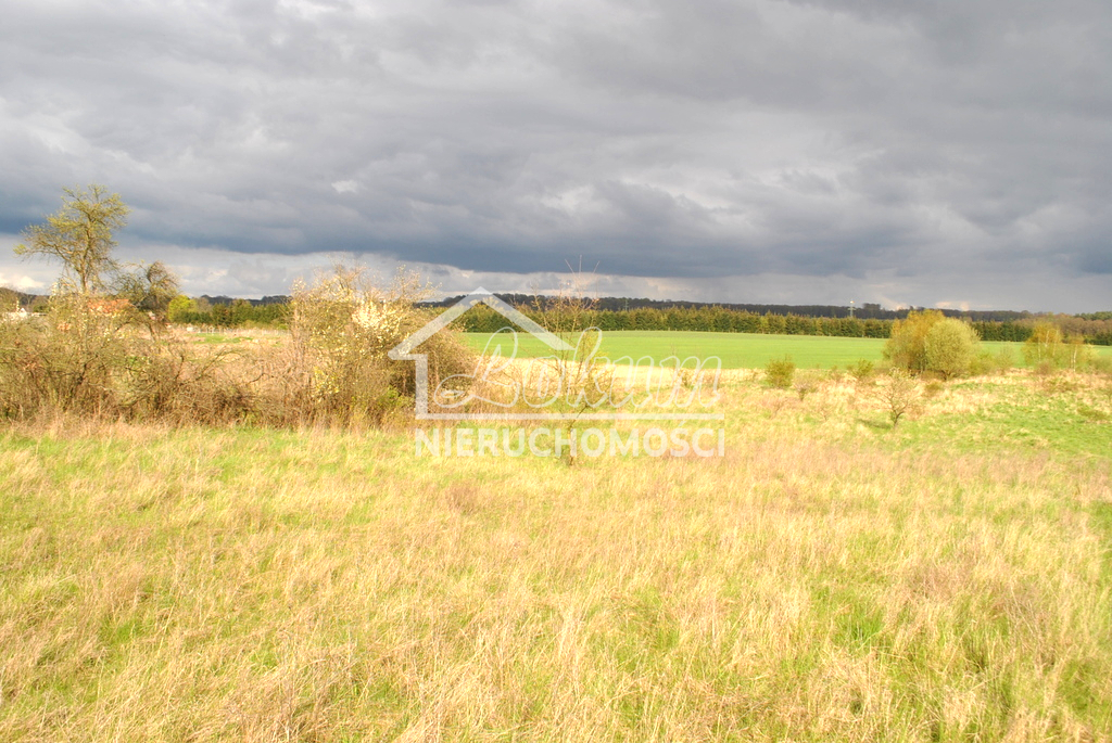 Działka budowlana 831&nbsp;m², Binowo - zdjęcie 3