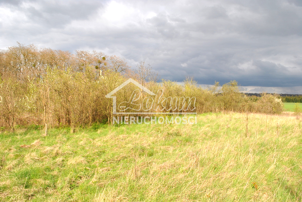 Działka budowlana 831&nbsp;m², Binowo - zdjęcie 1
