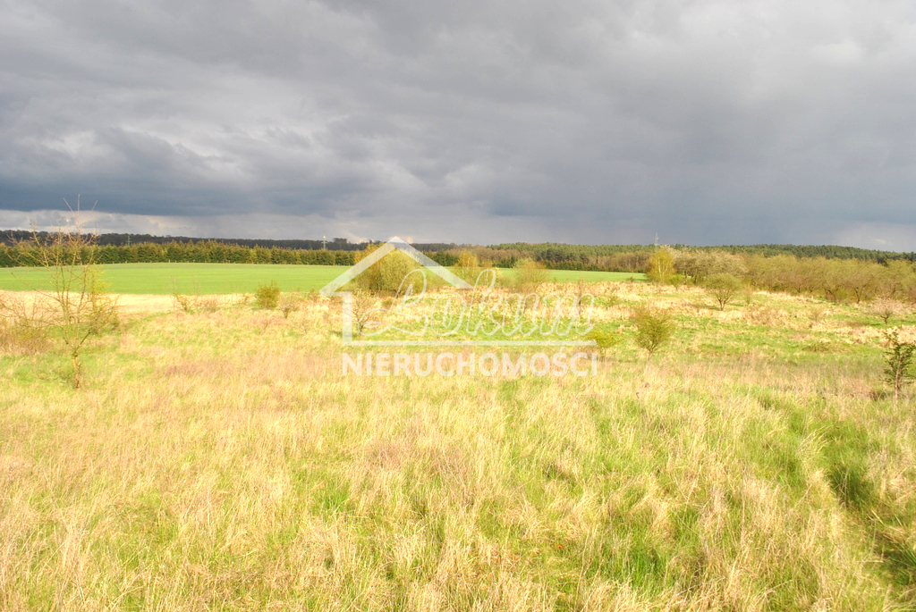 Działka budowlana 831&nbsp;m², Binowo - zdjęcie 4
