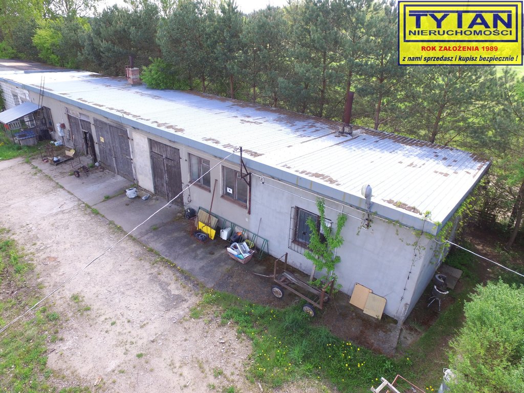 Magazyn do wynajęcia, 1254 m², Nowogród - zdjęcie 17