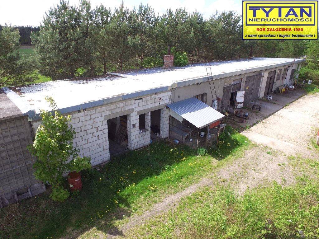 Magazyn do wynajęcia, 1254 m², Nowogród - zdjęcie 16