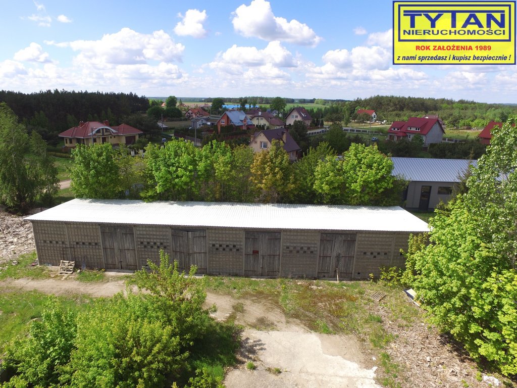 Magazyn do wynajęcia, 1254 m², Nowogród - zdjęcie 6