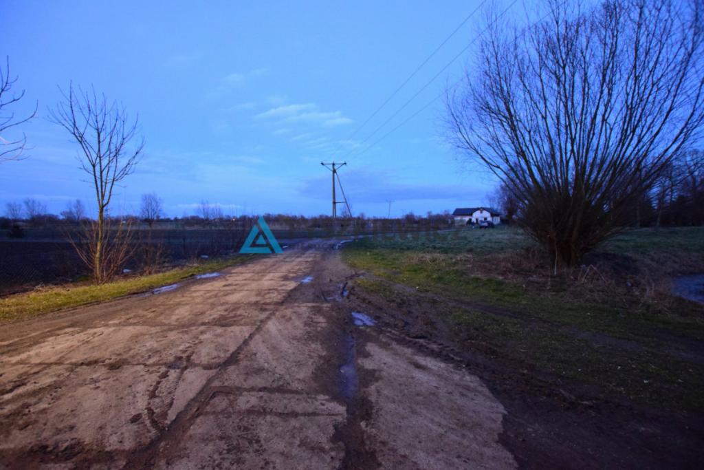 Działka 3200 m2 , 3 kilometry od Nowego Dworu - zdjęcie 15